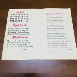 Thơ Bông lúa vàng (1995) 990663