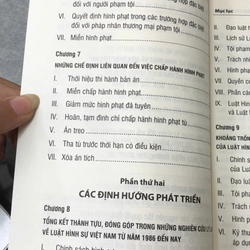LUẬT HÌNH SỰ VIỆT NAM VÀ CÁC ĐỊNH HƯỚNG PHÁT TRIỂN - Trịnh Tiến Việt 477920