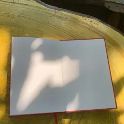 NHỮNG KỈ LỤC THẾ GIỚI - JAN PAYNE 778231