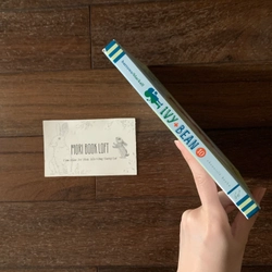 Sách ngoại văn Ivy and Bean Take the Case Book 10, Used, Bìa cứng, trình độ A1-A2 533441