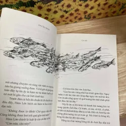 Cá Hồi - Ahn Do-hyun 1010699