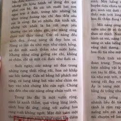 Nàng tiên cá - Bích Thuỷ sưu tầm và biên soạn  1027767