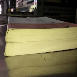 Ngoảnh lại mỉm cười - Đông bôn tây cố 1002498