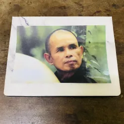 🌿 ẢNH Thầy THÍCH NHẤT HẠNH 🌿 800267