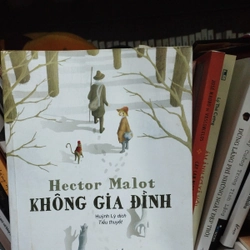 Không giá đình