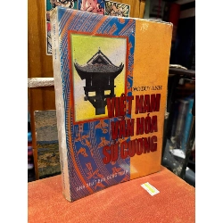 Việt Nam văn hóa sử cương - Đào Duy Anh 367182