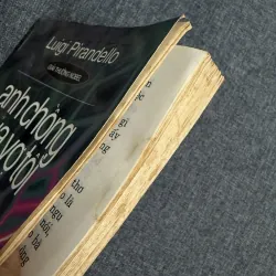 Anh chồng của vợ tôi 755518