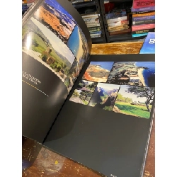 Belt Collins HongKong 1006758