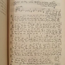 ĐOẠN TRƯỜNG VÔ THANH - PHẠM THIÊN THƯ 734908