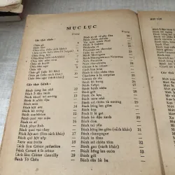 Người nội trợ hoàn toàn 997223