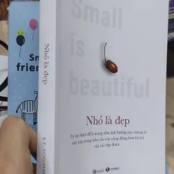 Sách: Nhỏ là đẹp - TG: E.F. Schumacher (B3) 1037403