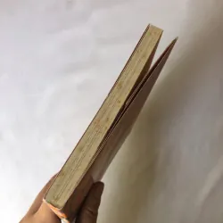 Lớp Học Của Anh Bồ Câu Trắng - Thy Ngọc 740802