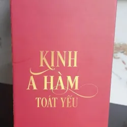 Sách Kinh A Hàm Toát Yếu - Hải Triều Âm Bìa Cứng 681882