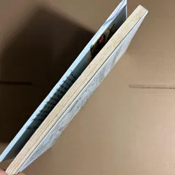 Đợi đông gõ cửa, em sẽ nói yêu anh 733456