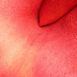 Túi đeo chéo Louis Vuitton Epi Pochette Accessoires 24cm M52947 619283