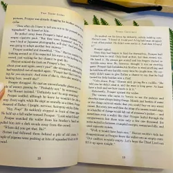 [Sách tiếng Anh 2hand] Like new 90% - The Thief Lord 715126