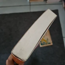 Thiên nga đen  737188