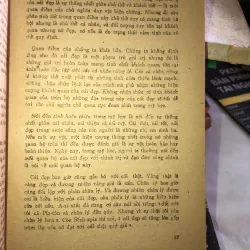 Cái đẹp - Một giá trị - Đỗ Huy  1024587