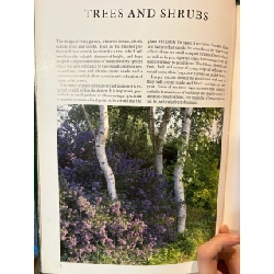 The garden designer selecting plants - Caroline Boisset and John Walker 1008072