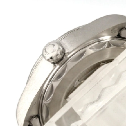 Đồng hồ Omega Seamaster Aqua Terra 4P 220.10.28.60.60.001 SS Quartz - Hàng hiệu Chính hãng 881816