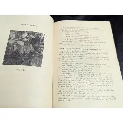 Trồng cây ăn trái ở cao nguyên miền nam - Nguyễn Cao Ban 588841