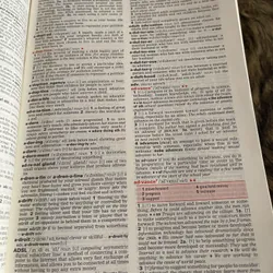 English DICTIONARY 696758