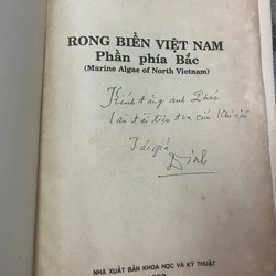 RONG BIỂN VIỆT NAM PHẦN PHÍA BẮC 536352
