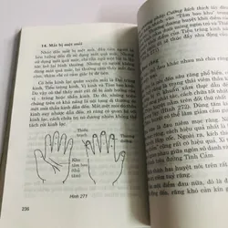 BÀN TAY MÃ SỐ CUỘC ĐỜI  693841