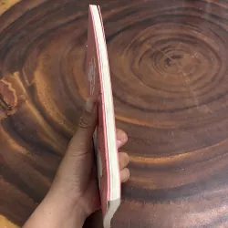 II Tình Yêu: Yêu Là Cưới - Susie Morgenstern - 2015 976250