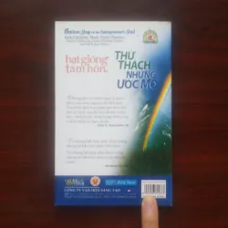 [Sách Kỹ Năng Sống] Thử Thách Những Ước Mơ - Chicken Soup For The Soul (Jack Canfield) 927325
