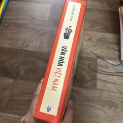 Văn hóa Việt Nam 699344