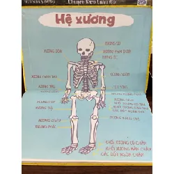 Cẩm nang thiên tài trẻ: Cơ thể người — Ken Jennings 576602