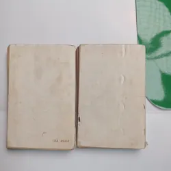 Combo 2 quyển Đoạn tuyệt và Trống mái 1020324