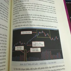 Phương pháp VPA bản in màu 1006451