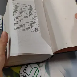 Từ Điển Việt - Anh - Bùi Phụng 749584