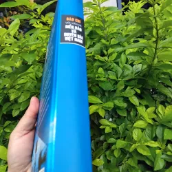 Báo chí với vấn đề biển đảo và duyên hải Việt Nam của Dương Xuân Sơn 990383