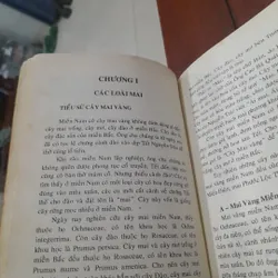 Huỳnh Văn Thới - KỸ THUẬT TRỒNG và GHÉP MAI 573465