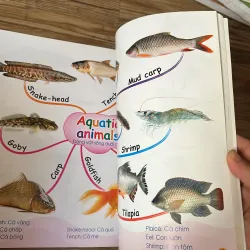 Chinh phục từ vựng tiếng Anh theo sơ đồ tư duy Mind Map- sách cho bé học English 1024297