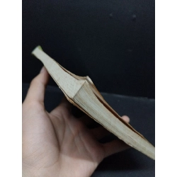 Nghệ thuật nuôi chim hót - chim kiểng mới 60% ố nhẹ 2003 HCM2207 Trần Văn Thêm - Huỳnh Văn Xít KỸ NĂNG 916412