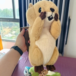 Plush Hải Ly Hốt Hoảng