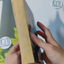 Beautiful - Danielle Steel 1027178