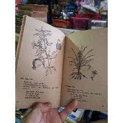 35 cây thuốc dễ tìm trị 7 bịnh thường gặp - Nguyễn Văn Xông - 1986 mới 80% ố - KHOA HỌC ĐỜI SỐNG - HCM0111 628947