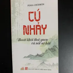 (Sách cũ) Cú nhảy - Thoát khỏi thói quen và nỗi sợ hãi - Pema Chodron