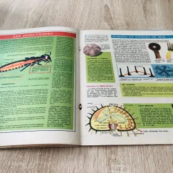 TẠP CHÍ TOUT L’UNIVERS – 1962 (10) 1015900