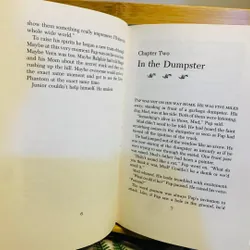 [Sách tiếng Anh 2hand] Like new 90% - 🤩 The Blossoms and the Green Phantom – Betsy Byars 606298