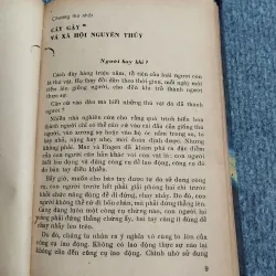 TỪ CÂY GẬY ĐẾN NHÀ MÁY TỰ ĐỘNG 688746