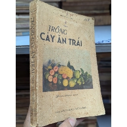 Trồng cây ăn trái - Phan Văn Tây 465299