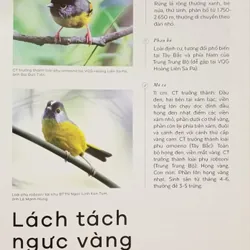 Các loài chim Việt Nam (Lê Mạnh Hùng) 736184