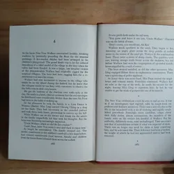 The Monkey King - Timothy Mo 711644