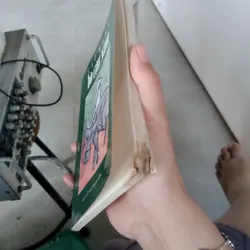 Bồ câu xám" của tác giả Cao Hạnh. 
 695747